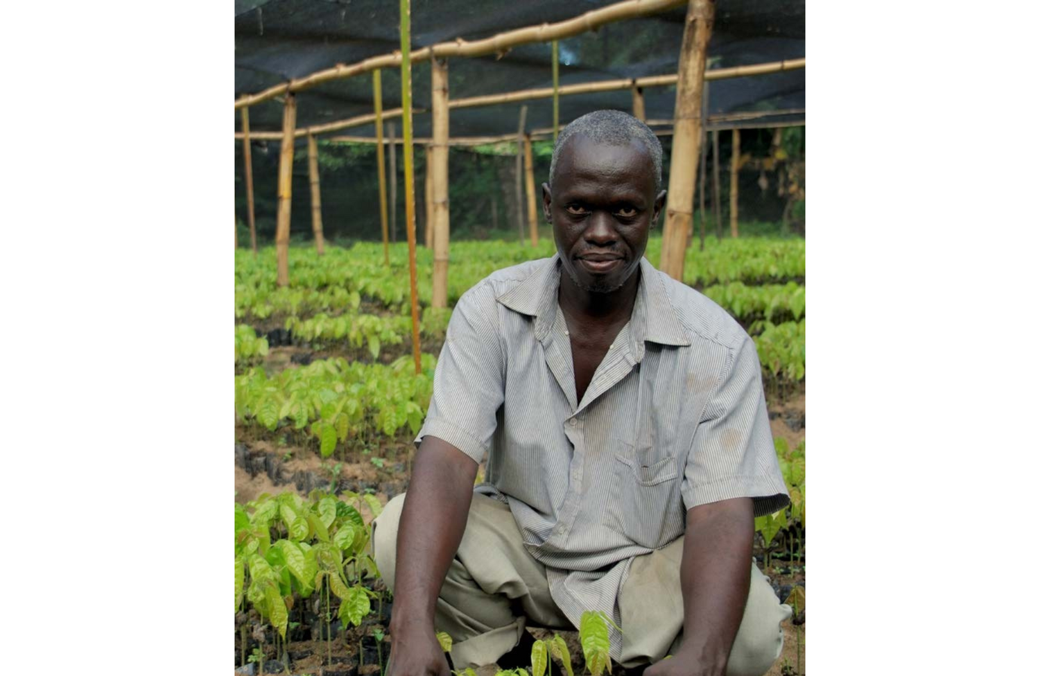 Kokoa Kamili Tanzanie Producteurs de cacao chocolat erba nera Corse Bastia