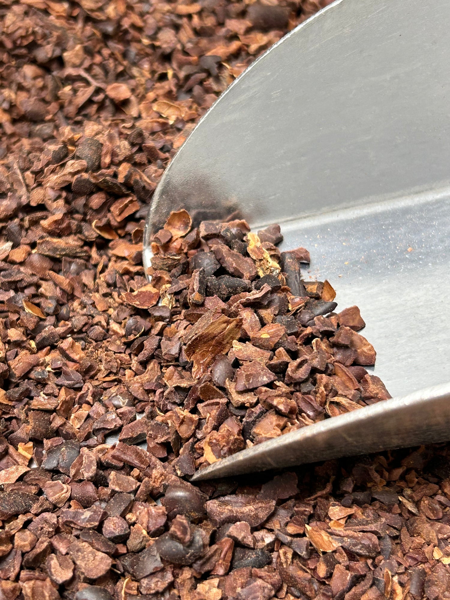 Grué de cacao chocolat erba nera Corse Bastia
