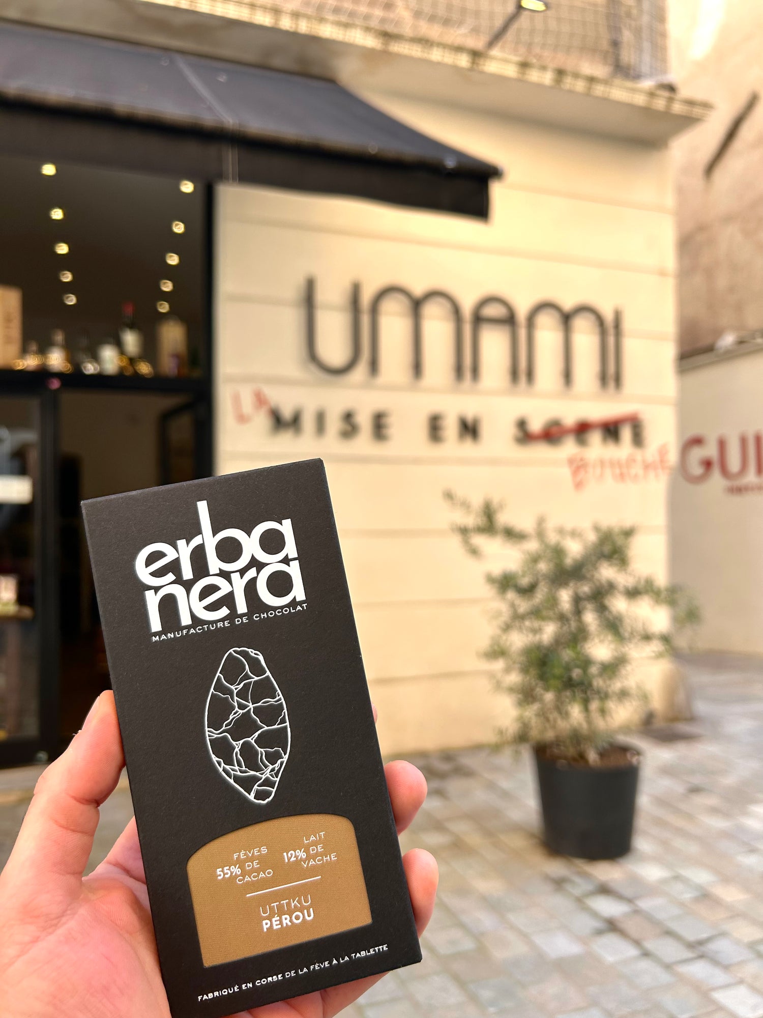 Erba Nera Umami Bastia